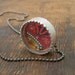 Puzzle Pod necklace-pendant game.