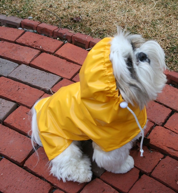 Wet Look Dog Raincoat with Hood to be custom made for your
