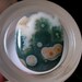 Old stock Ocean Jasper Cabochon Translucent Green Agate With Multi-ringed Orange and Peach Orbs