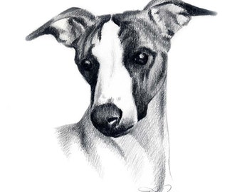 DOBERMAN PINSCHER Dog Art Print Signed by Artist by k9artgallery