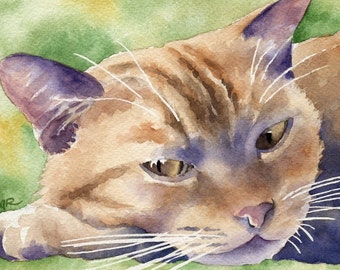 ORANGE TABBY CAT Art Print Signed by Artist D J Rogers