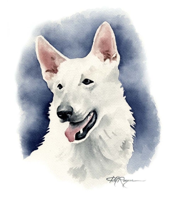 White German Shepherd Art Print by Watercolor Artist DJ Rogers White German Shepherd Art Print by Watercolor Artist DJ Rogers