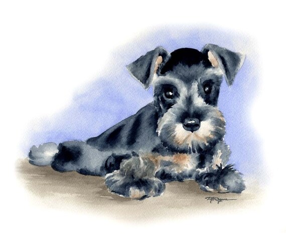 MINIATURE SCHNAUZER PUPPY Dog Watercolor Painting ArtPrint