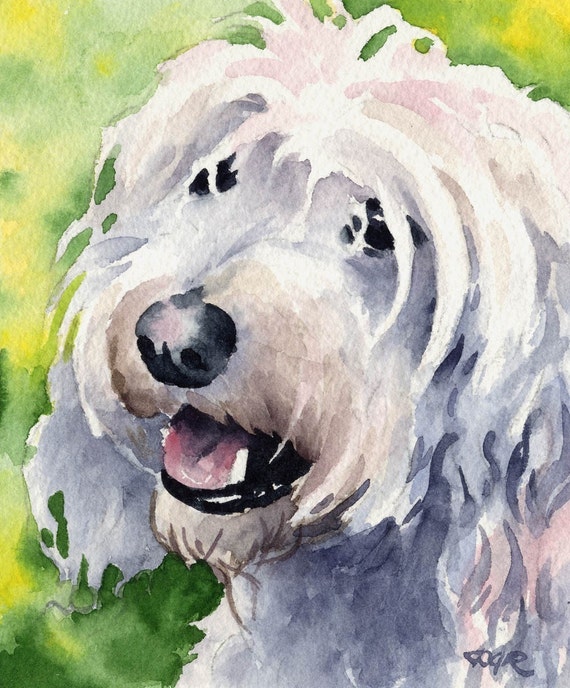 COCKAPOO Dog Art Print Signed by Artist DJ Rogers