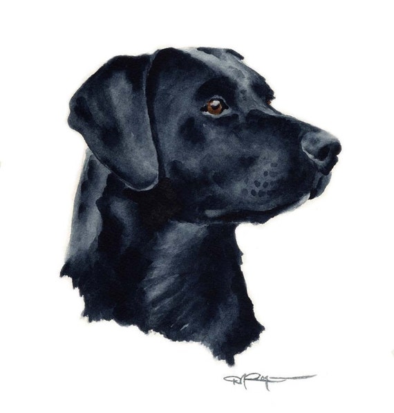 Black Lab Art Print by Watercolor Artist DJ Rogers