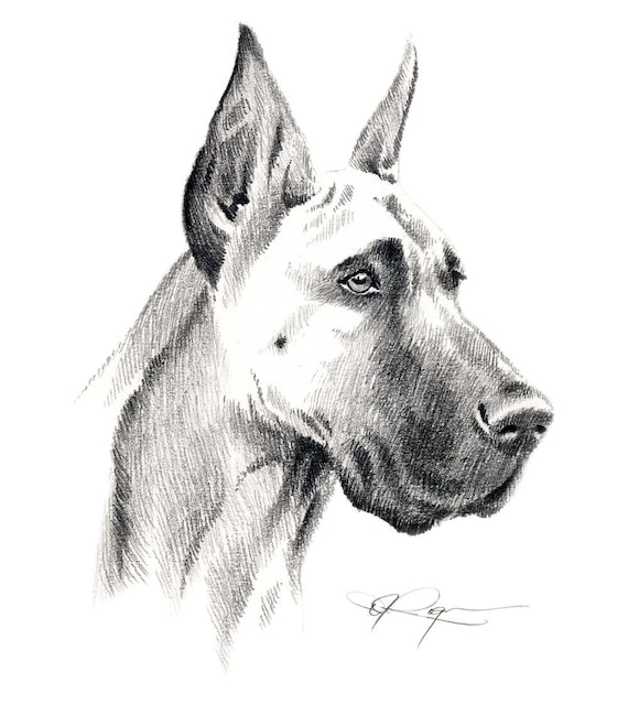 GREAT DANE Art Print Signed by Artist DJ Rogers