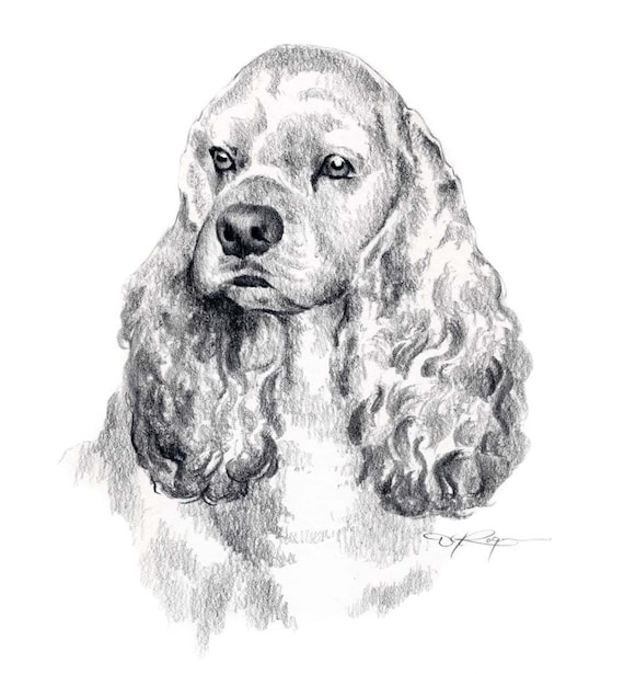 COCKER SPANIEL Dog Art Print Signed by Artist DJ Rogers