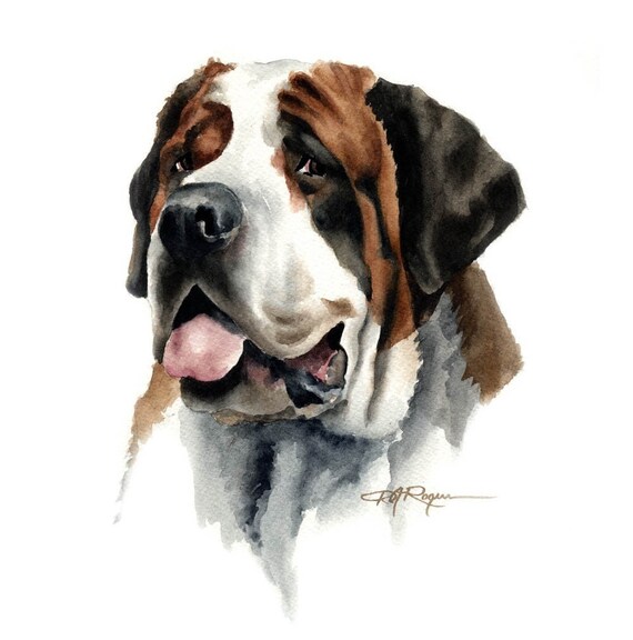 Saint Bernard Art Print Dog Painting by Watercolor Artist DJ