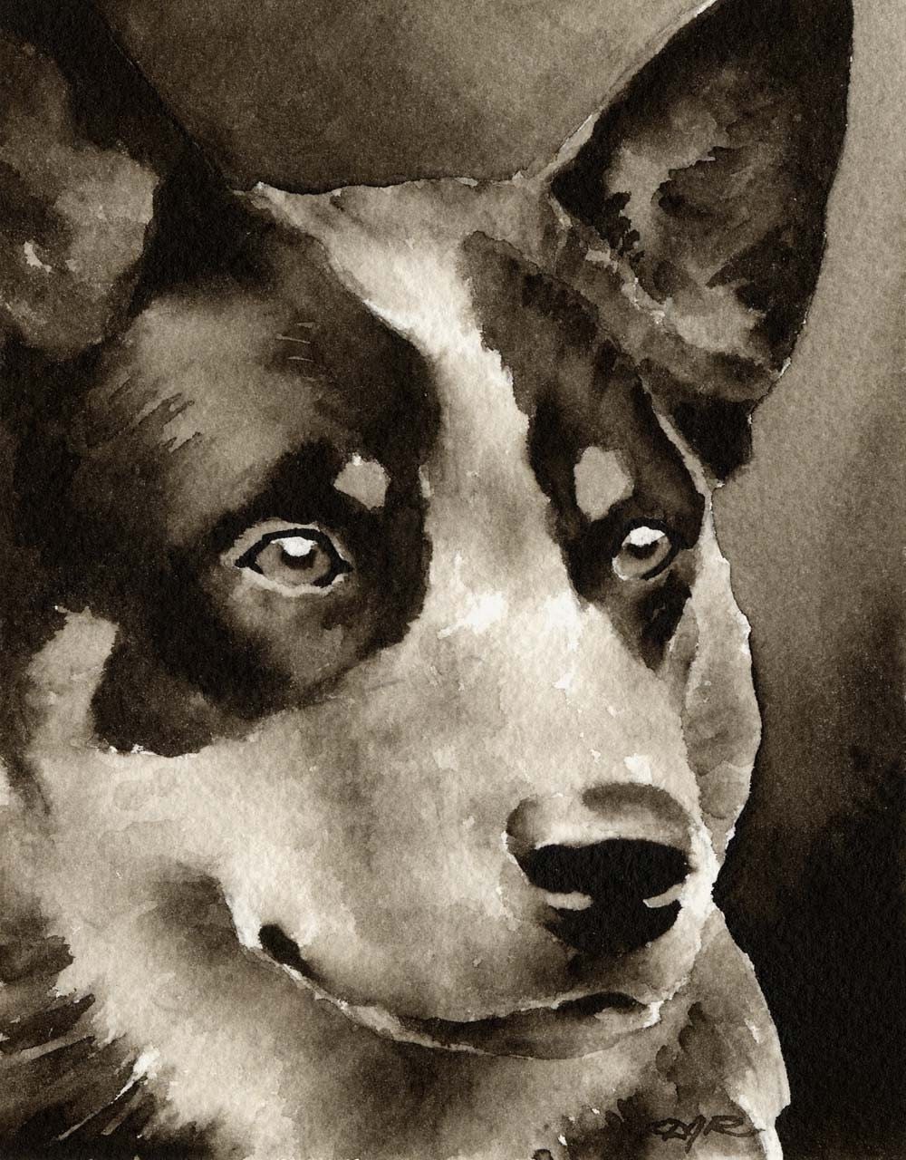 AUSTRALIAN CATTLE DOG Sepia Art Print Signed by Artist D J