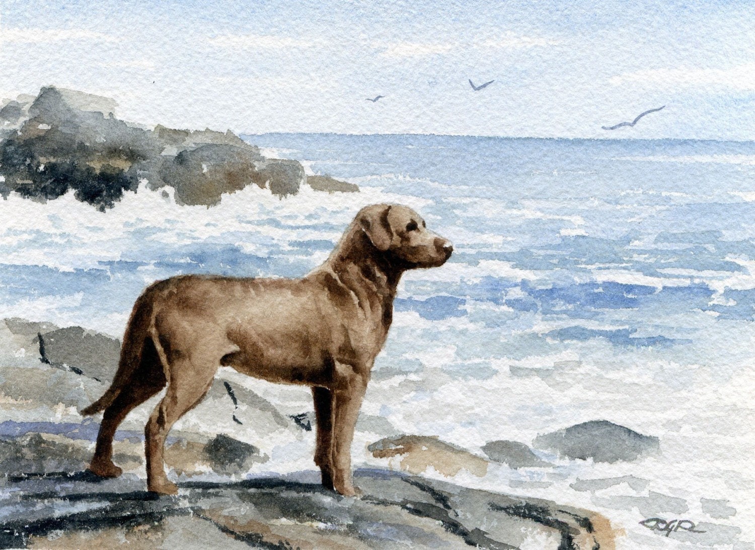 Download CHESAPEAKE BAY RETRIEVER Art Print Watercolor Signed by Artist