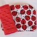 Red Ladybugs Reversible Minky Car Seat Strap Covers
