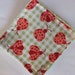SALE Ladybug Picnic Crinkle Corner Sensory Toy