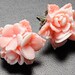 Stud Earrings Studs Post Earrings Flower Earrings . Two Tone Pink and White Flower Bouquet. Argentina Earrings in Pink and White