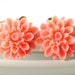 Coral Earrings. Flower Jewelry. Coral Pink Dahlia Flower Earrings. Argentina Earrings in Coral Pink Mum