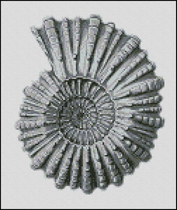 VINTAGE SEASHELL cross stitch pattern No.383