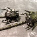Insect Bobby Pins