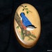 Oval wooden bird pin