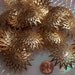 6 Pieces of LARGE Vintage Gold Tone Star Filigree For Decorating Christmas Bulbs Making Christmas Ornaments