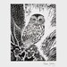 Owl in the Ivy original lino print