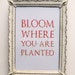 Bloom Where You Are Planted - 5 x 7 Scarlet Pale Blue Quote Print