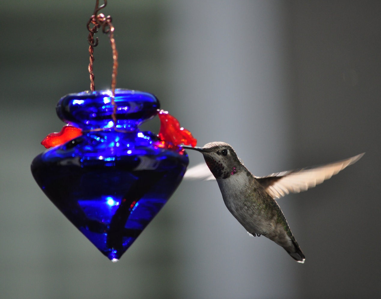 recycled material hummingbird feeder cobalt blue by recycled material hummingbird feeder cobalt blue by