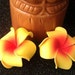 orange, yellow, plumeria, yellow plumeria, tiki, hawaii, plumeria barrette, hair flower, tropical flower