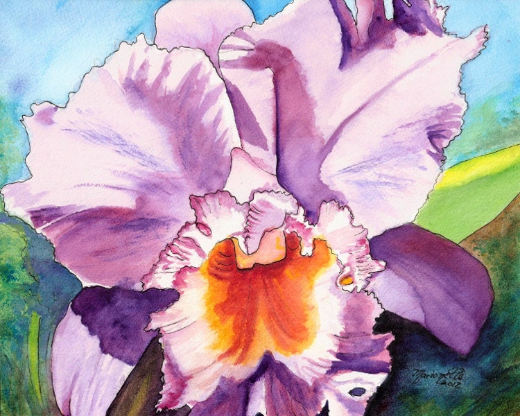 Orchid Paintings cattleya orchids tropical flower art