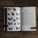 field guide to butterflies
