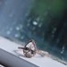 ON HOLD Rain drop - white sapphire and rose gold ring-3rd payment