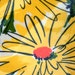 Vintage Paper Tablecloth with bright Yellow Flowers - never been opened
