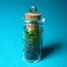 Wearable baby terrarium