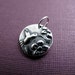 hummingbird messenger sterling silver charm
