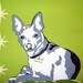 Unique and funky custom pet portrait