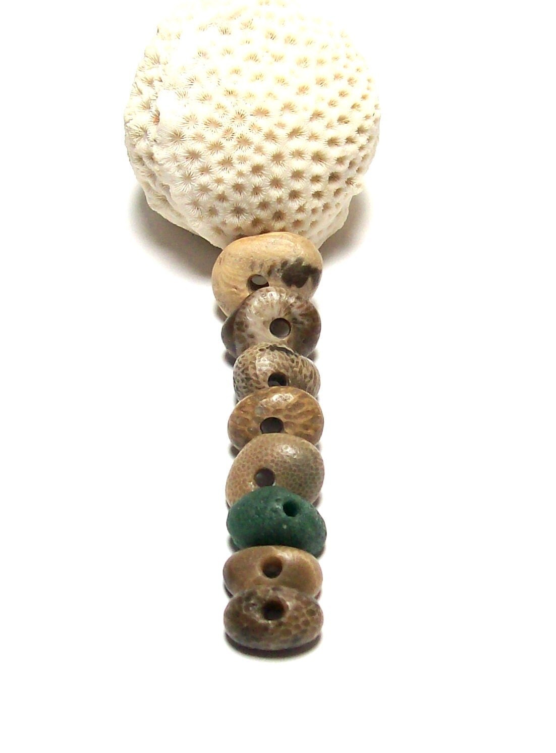 Beach Stones Sea Glass Fossils Genuine Pebbles by StoneMe on Etsy