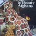 Crocheted Scraps to Beauty Afghans Crochet Granny Squares Pattern Extra Easy Instructions Leisure Arts Leaflet 163