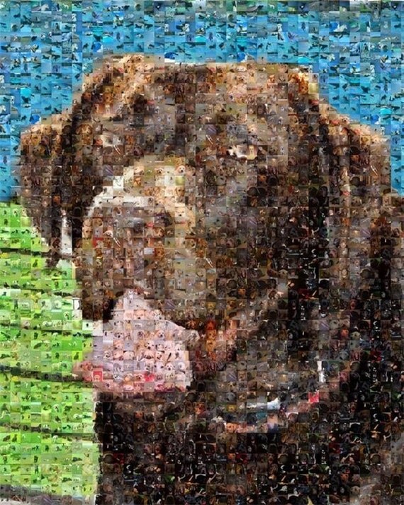 Chocolate Labrador Retriever mosaic montage art print limited