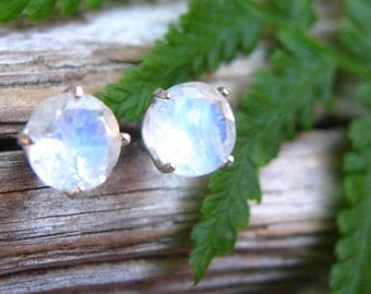 Blue Moonstone Stud Earrings in Gold, Silver, Platinum with Genuine Gems, 6mm - Free Gift Wrapping