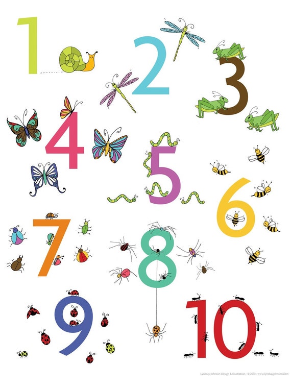 insect numbers poster 11x14 print