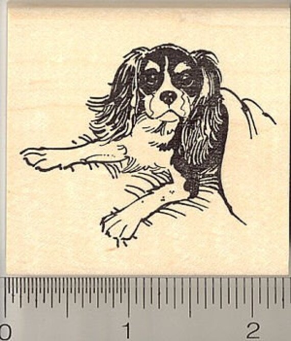 Cavalier King Charles Spaniel rubber stamp G9317 by Rubberhedgehog