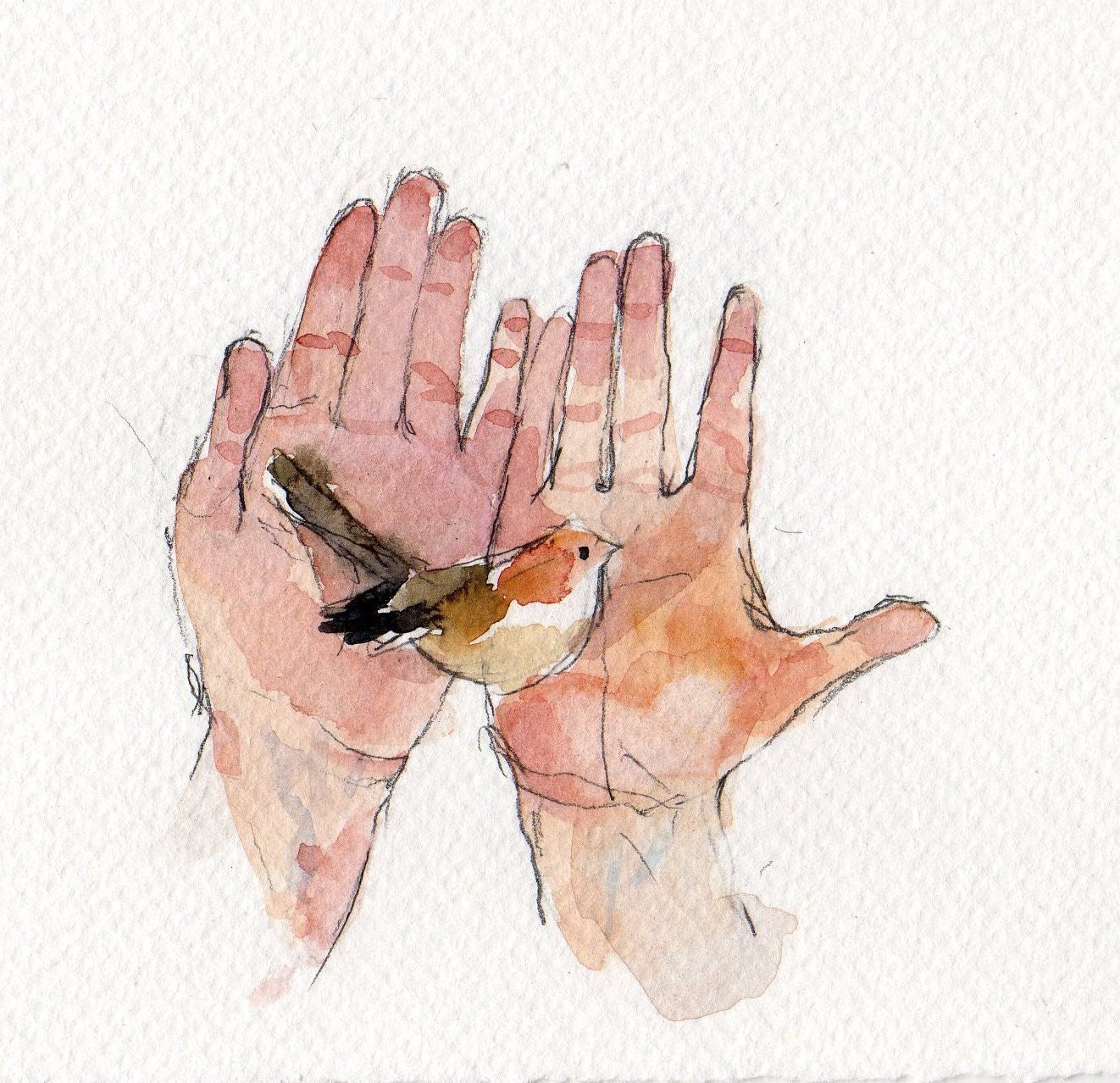 Bird in Hands