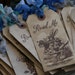 ALICE IN WONDERLAND - "Read Me" tags or bookmarks - choice of ribbon and character - set of 10