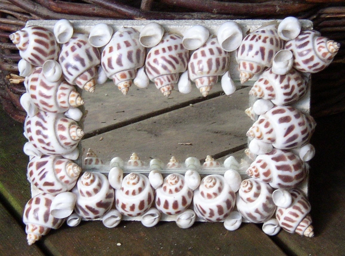 Vintage Seashell Mirror Decor