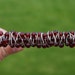 Garnet Red Victorian comb