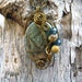 Picasso Jasper Wire Wrapped Pendant Necklace in Antique Bronze