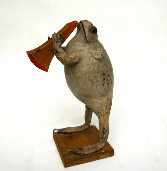 large mariachi frog playing horn Vintage Mexican taxidermy