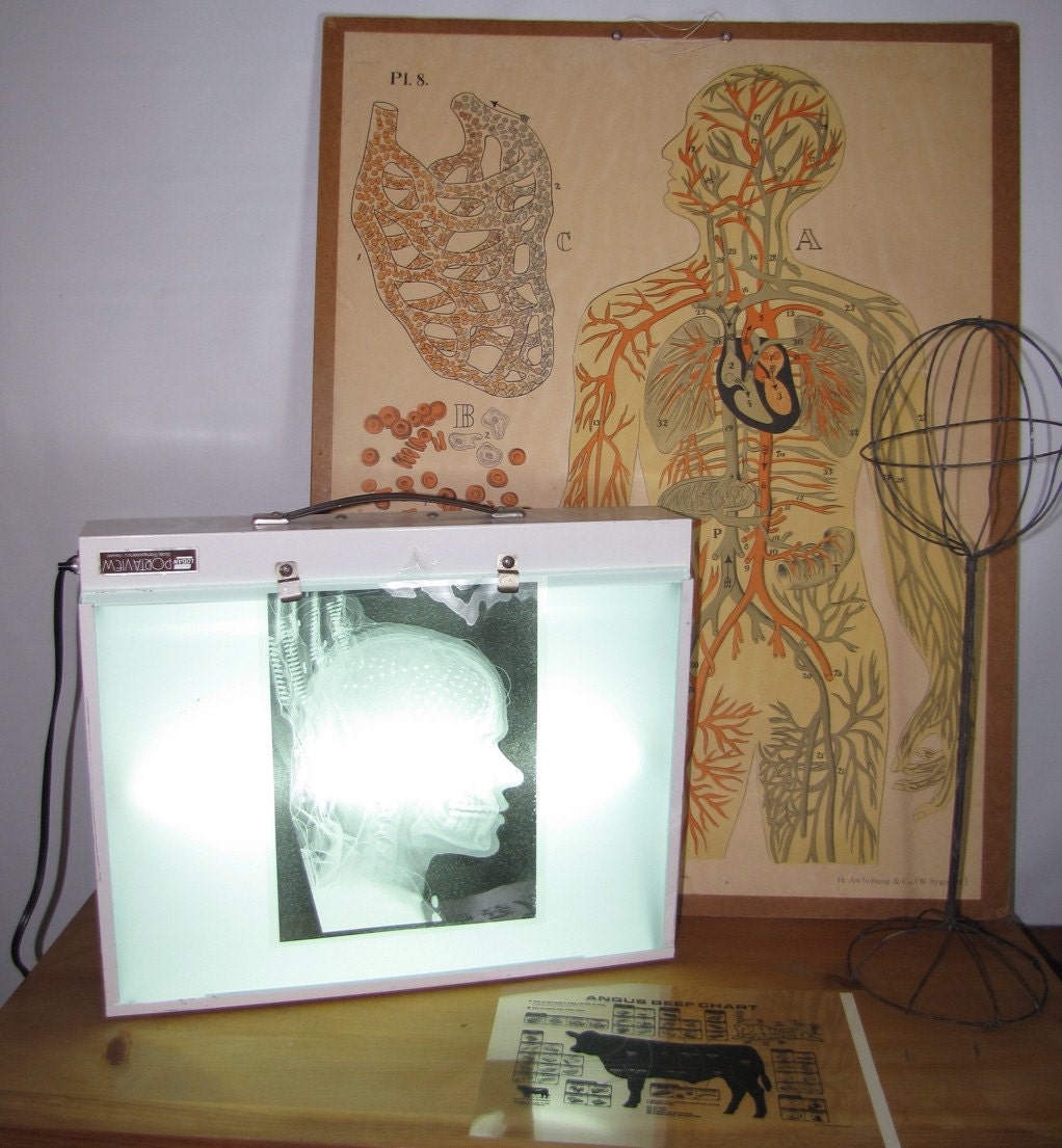 Vintage XRay Transparency or slide light box Wall or Table