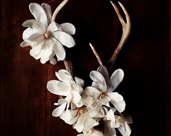 antler botanical_no_3