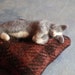 CUSTOM DEPOSIT LISTING for a needle felted KITTY PINCUSHION (93010)