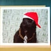 AC Be Ballin' greeting card