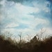 Original Watercolor Landscape